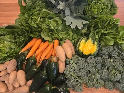 Chocolate peanut butter cheesecake tart from above — decadent dessert by Nashville Chef Mollie