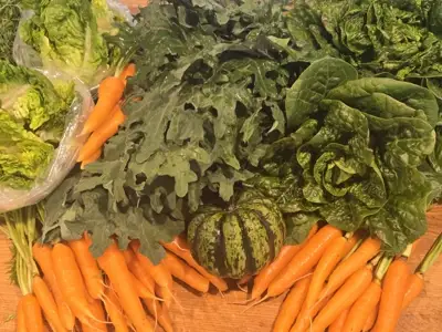 Fresh seasonal produce haul — carrots, squash, and greens from Nashville farms for Chef Mollie's kitchen