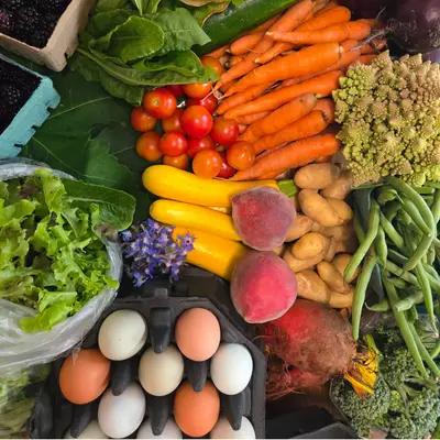 Local Organic Farms